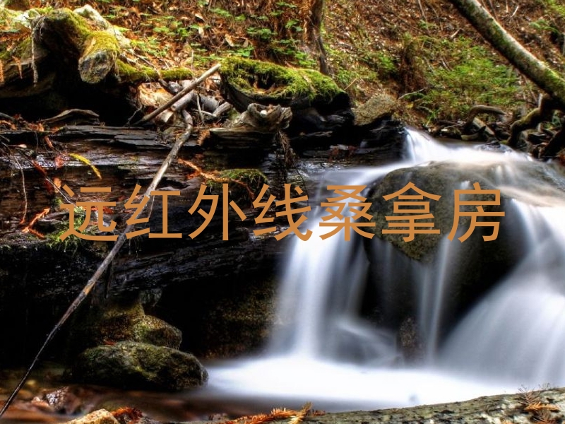 远红外线桑拿房