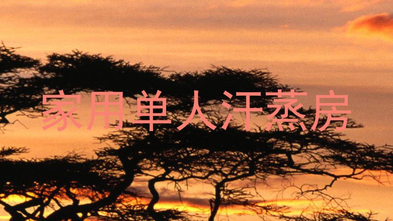 家用单人汗蒸房