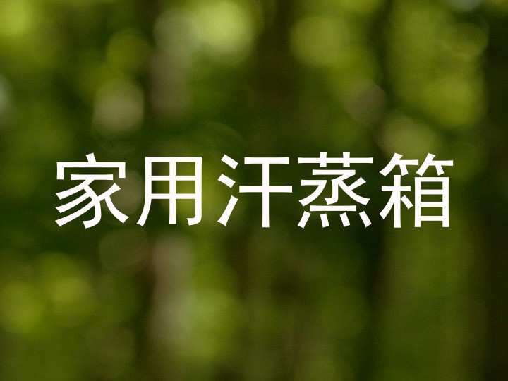 家用汗蒸箱