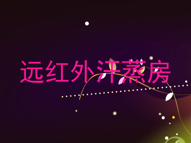 远红外汗蒸房