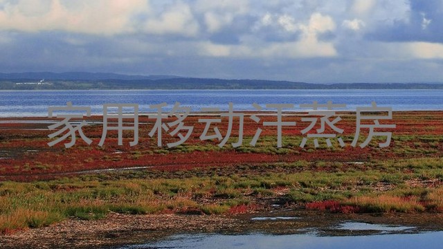 家用移动汗蒸房
