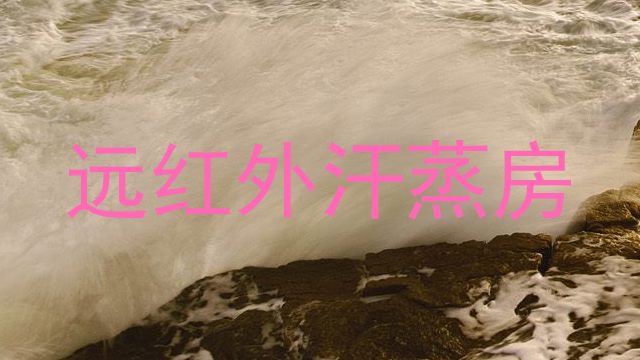 远红外汗蒸房