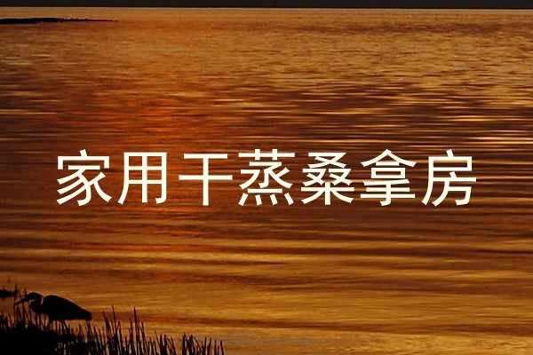 家用干蒸桑拿房