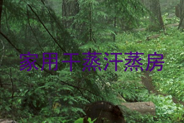 家用干蒸汗蒸房