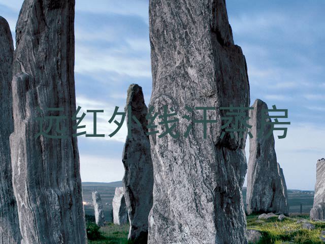 远红外线汗蒸房
