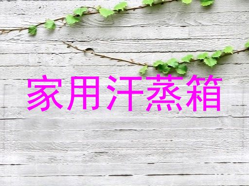 家用汗蒸箱