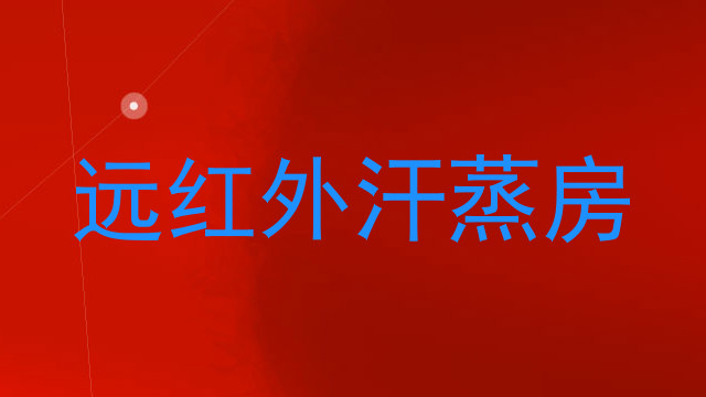 远红外汗蒸房