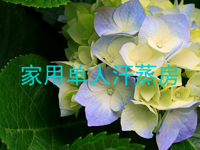 家用单人汗蒸房