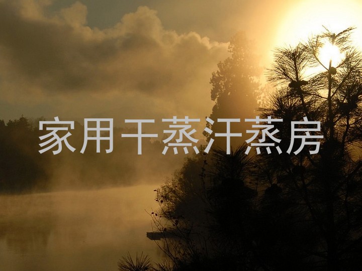 家用干蒸汗蒸房