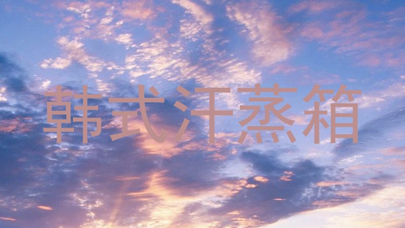 韩式汗蒸箱