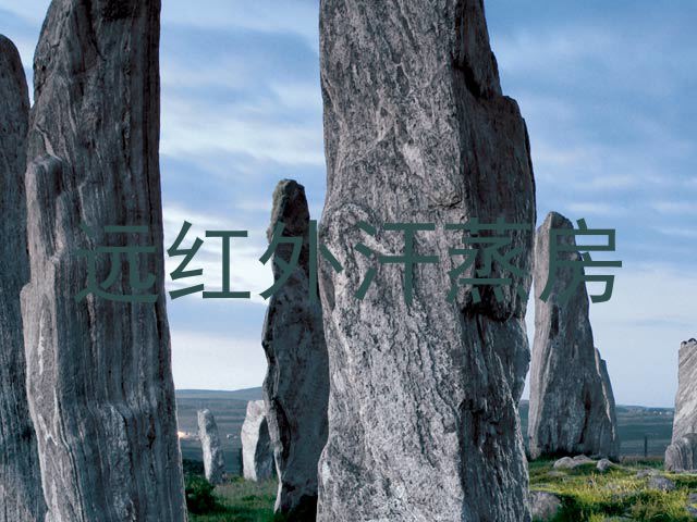 远红外汗蒸房