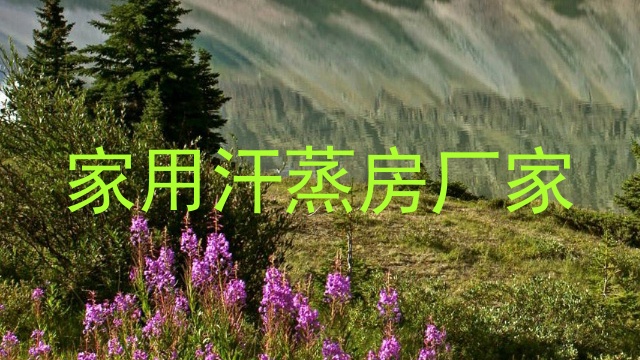 家用汗蒸房厂家