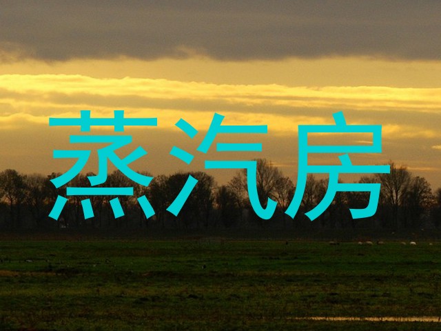 蒸汽房