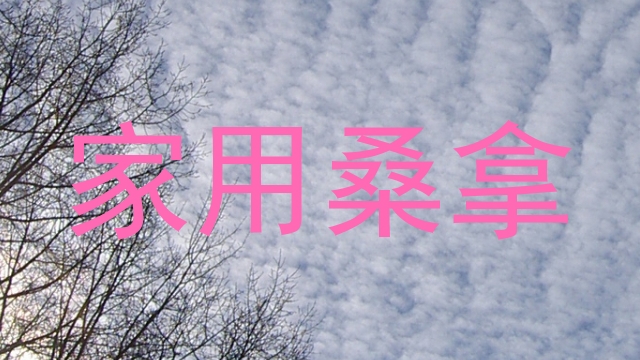 家用桑拿