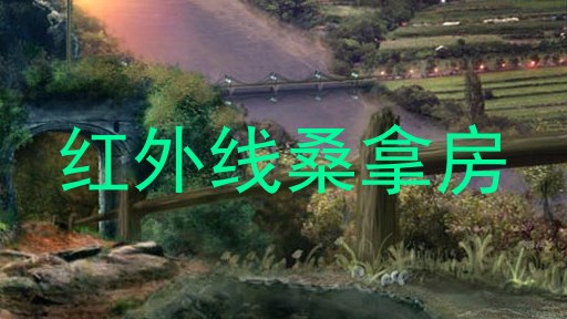 红外线桑拿房