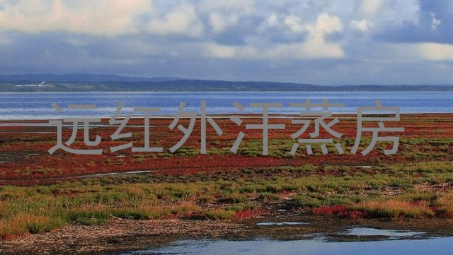 远红外汗蒸房