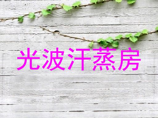 光波汗蒸房