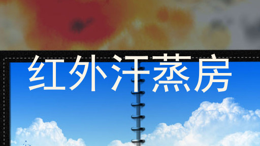 红外汗蒸房