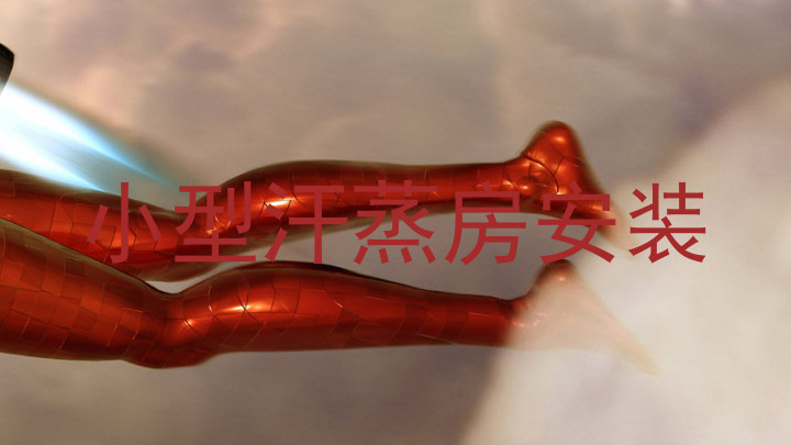 小型汗蒸房安装