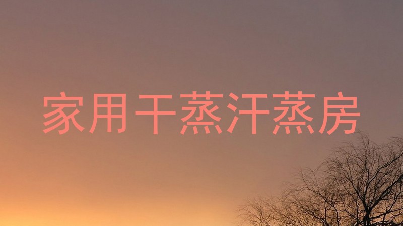 家用干蒸汗蒸房