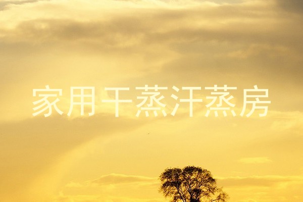家用干蒸汗蒸房