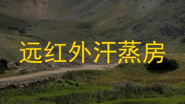 远红外汗蒸房