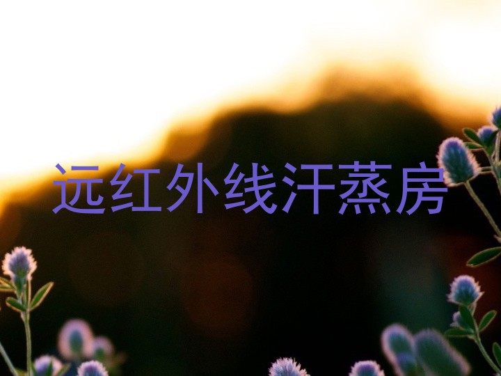 远红外线汗蒸房