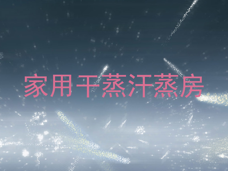 家用干蒸汗蒸房