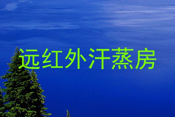 远红外汗蒸房
