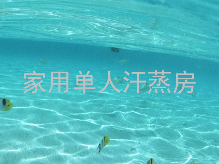 家用单人汗蒸房