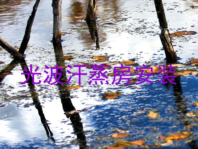 光波汗蒸房安装