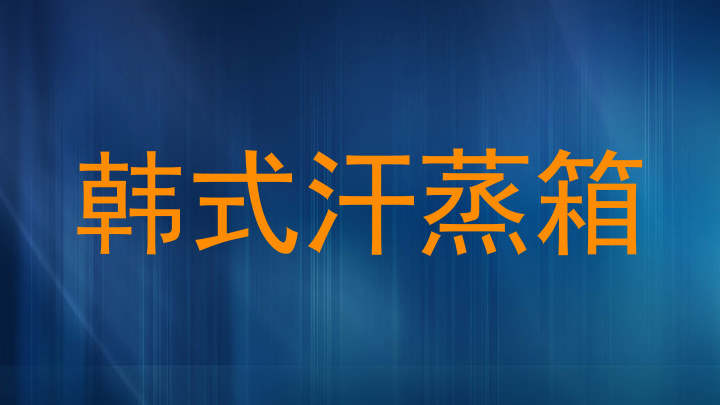韩式汗蒸箱