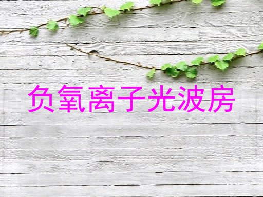 负氧离子光波房