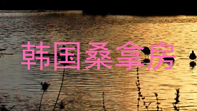 韩国桑拿房