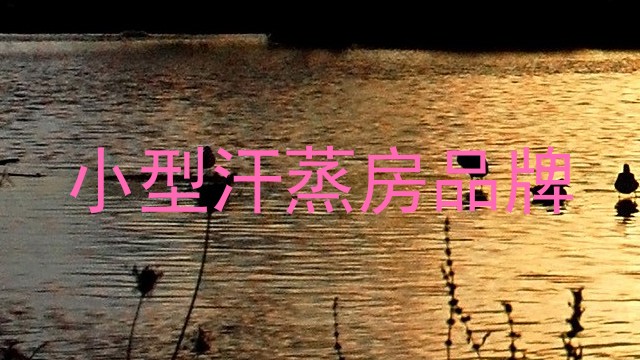 小型汗蒸房品牌