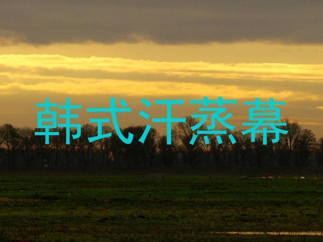 韩式汗蒸幕