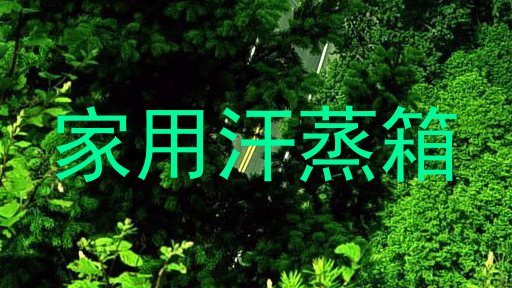家用汗蒸箱