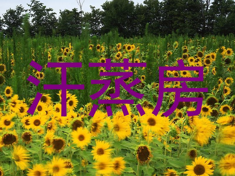 汗蒸房