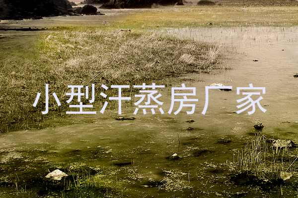 小型汗蒸房厂家