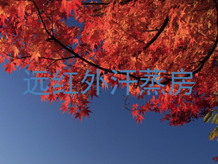 远红外汗蒸房