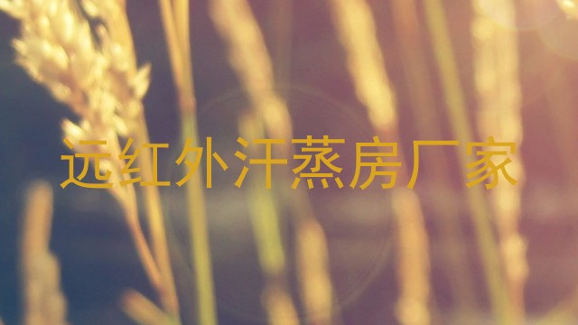 远红外汗蒸房厂家