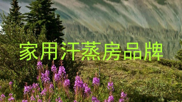 家用汗蒸房品牌