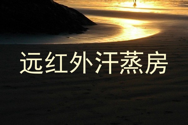 远红外汗蒸房