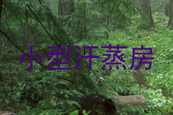 小型汗蒸房