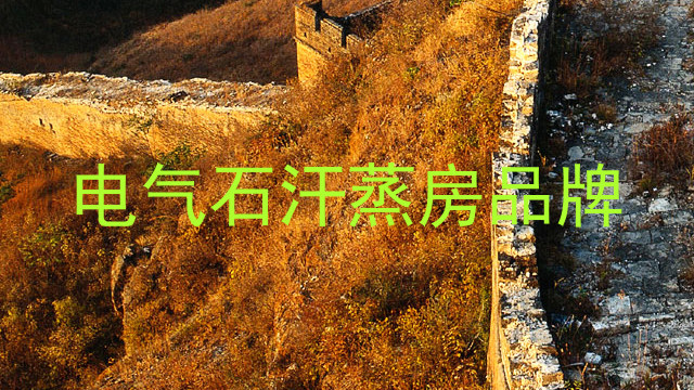 电气石汗蒸房品牌