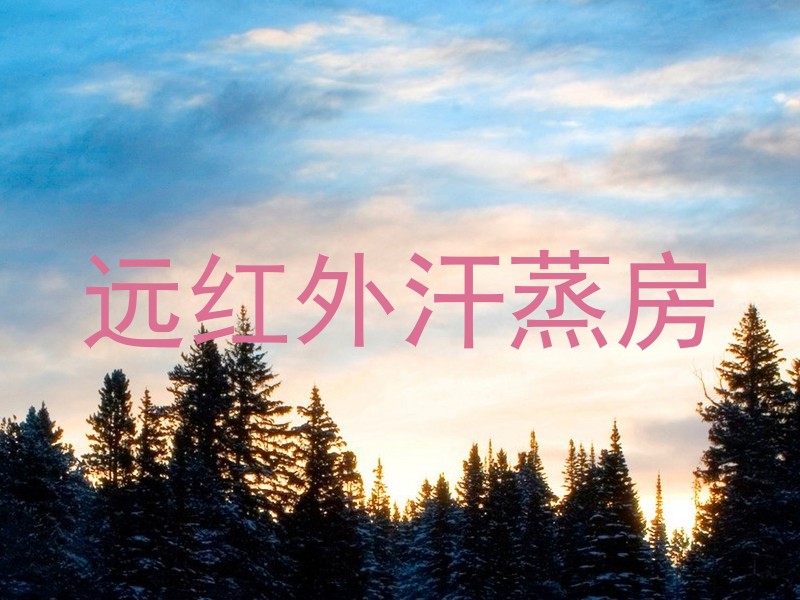 远红外汗蒸房