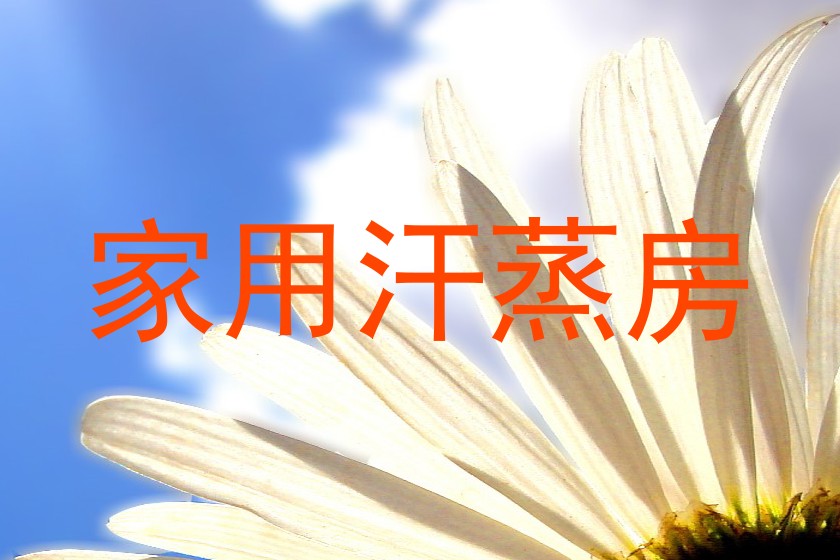 家用汗蒸房