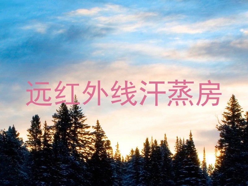 远红外线汗蒸房