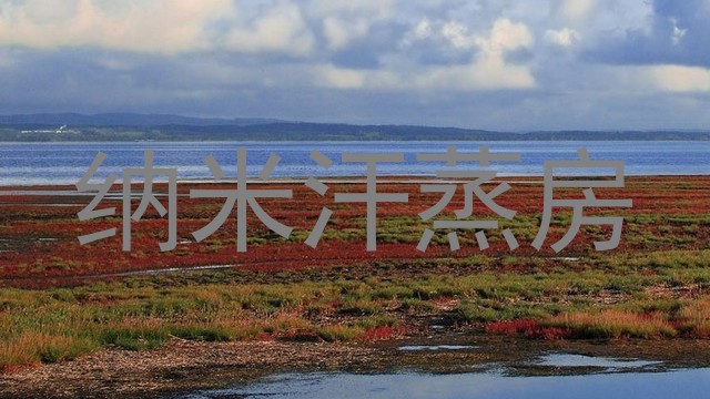 纳米汗蒸房