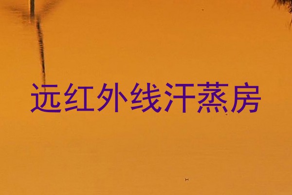 远红外线汗蒸房